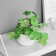 Bonsai in the pot "Painting Pelargonium Lux" (soft sheet) 9x6 cm, mix