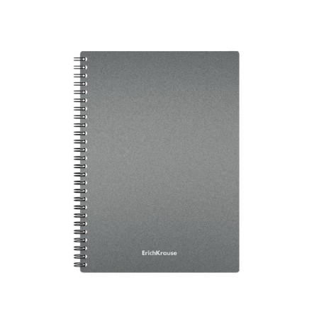 Notebook A5, 80 sheets in a cage on the crest Erichkrause "Ice Metallic", a plastic cover on an elastic band, an offset unit, white 100%, mix-5