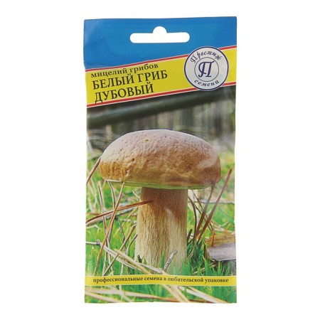 Micelia white mushroom oak, 50 ml
