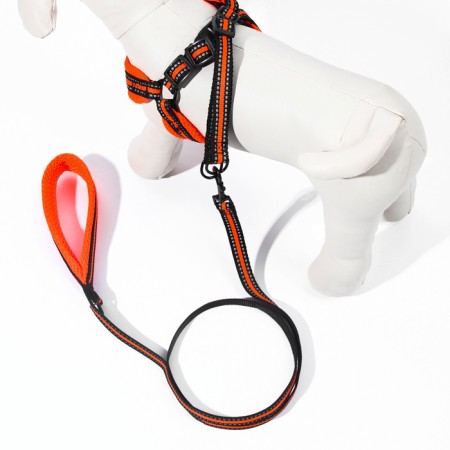 The ammunition kit is soft, reflective, leash 120 x 1.5 cm, Osh 35-53 cm, orange-2