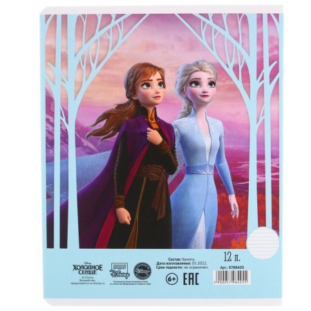 Notebook in a ruler of 12 sheets, 5 types of mix, cover coated cardboard, cold heart-10
