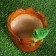 Figure pot "Frog Pot" 14x13x13cm
