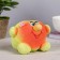 Growing gift Eco -Zhizhivchik "heart" mix