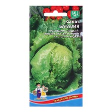 Batavia salad seeds, 0.25 g