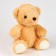 Napchik children with a soft toy "Bear"