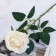 Artificial flower "Rosa Leticia" 7x64 cm, white