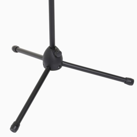 Muscic Life microphone flooring is floor, under two microphones, h-150 cm, D microphone 2.5 cm-5