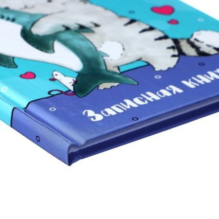 Notebook, A6, 48 sheets, in a cage, "Adventures of a cat cat", glossy lamination, an offset block 60g/m2-2