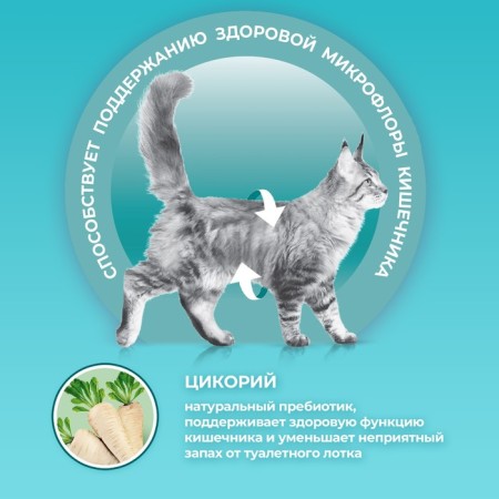 Dry food One for home cats, turkey with whole cereals 200 g-2