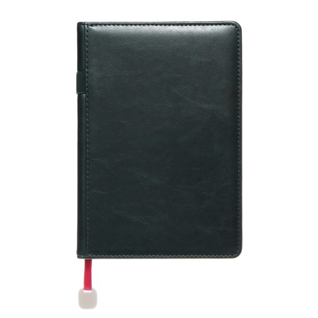 Deliciper of Leduced A5, 160 sheets of Polo New, solid cover, artificial leather, green-2
