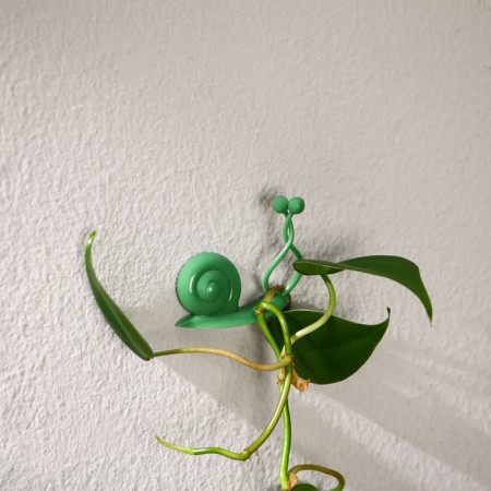 Fastards for climbing plants, wall, self -adhesive, “snail”, d = 10 mm, Greengo-11