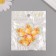 Decor for creativity Plastic "Diplon with a pillow" set 5 Sh 3x2.5x1 cm