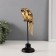 Souvenir Polystone "Golden Parts Ara on a Zhurdochka" 27.5x8.5x8.5 cm
