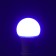 LED LED RGB, with a remote control, A60, 7 W, 560 lm, E27, 220 B