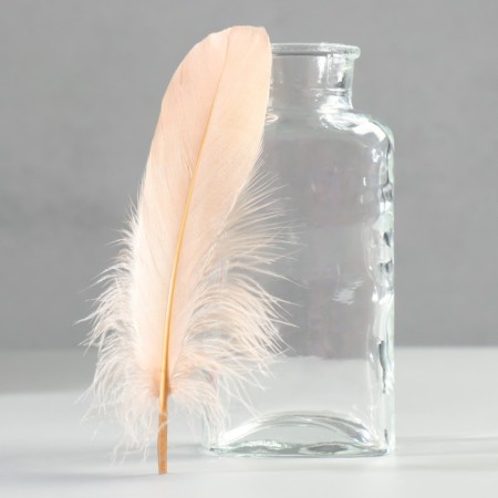 A set of feathers of the goose 13-18 cm, 20 pcs, light brown
