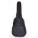 Lutner LDG-1 acoustic guitar cover