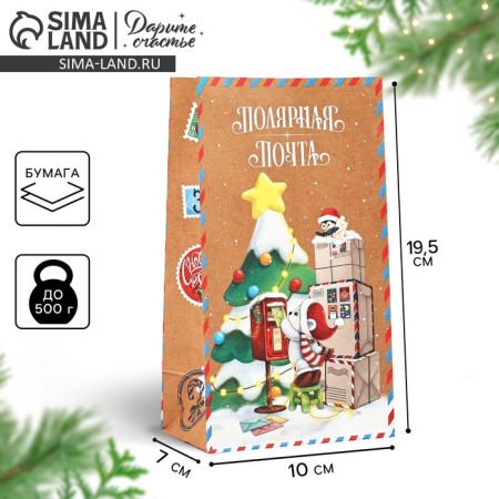 Package without pens "Polar Mail", 10 x 19.5 x 7 cm, New Year