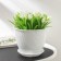 Flower pot with the pallet "Corsica", 1.8 l, d = 17, white color