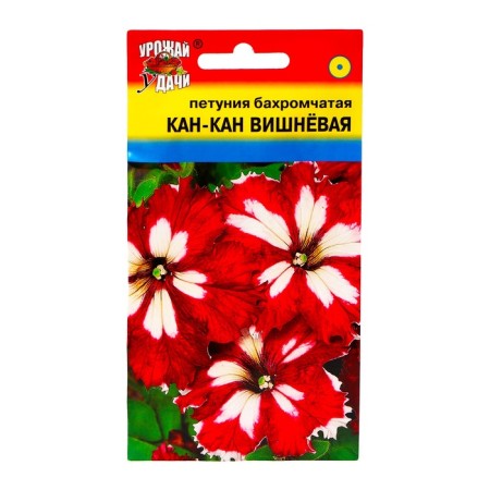 Flowers of Petunia Kan Kan, cherry, 10pcs
