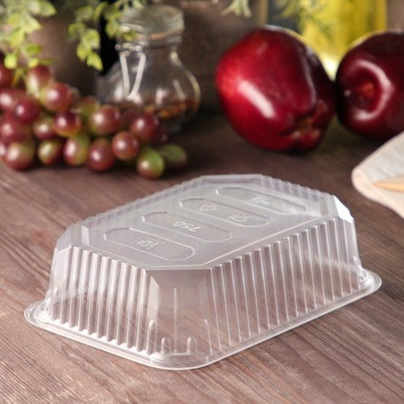 Container plastic disposable "JPPLAST", 750 ml, 18.6 × 13.2 × 4.8 cm, the color is transparent-1