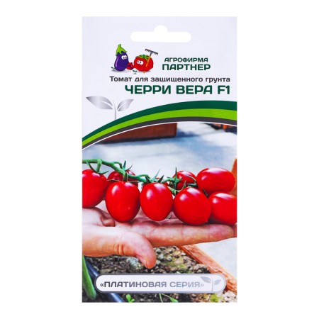 Seeds Tomat Cherry "Vera", F1, 5 pcs