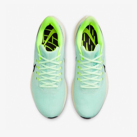 Cunning male Nike Air Zoom Pegasus 39 DH4071 301, size 10 US-3