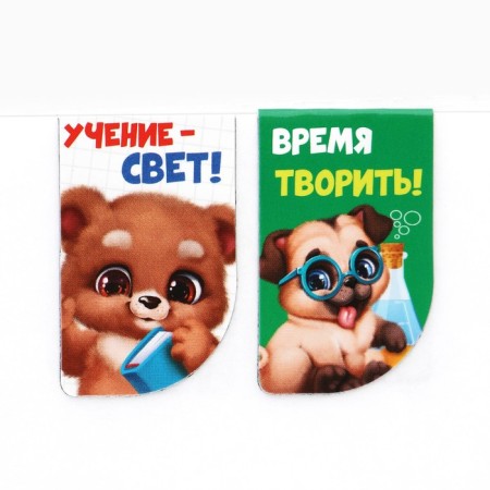 Gift set for graduation in the folder of 7 items "Graduate of kindergarten"-16