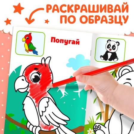 Coloring for kids on the sample "Wild Animals", 12 p.-3