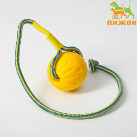 EVA ball on a rope, for training, 7 cm, yellow