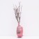 Barberry Tunberg Lux "Flamingo", tube, 1 pc, spring 2024
