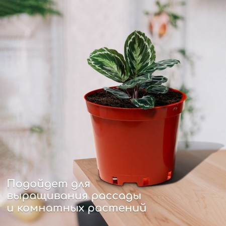 Pot for seedlings, 5 l, d = 22 cm, h = 18 cm, terracotta, Greengo-2