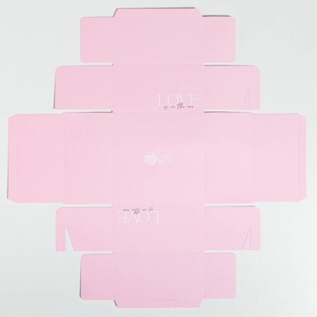 Bearbox under the bento-port with PVC lid, confectionery packaging "Love", 12 x 6 x 11.5 cm-3