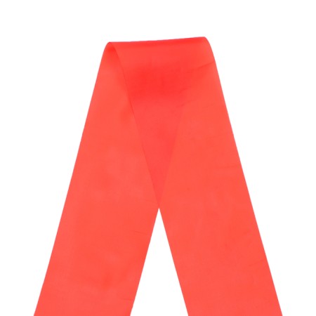 Set of tapes "Primary School", red atlas, foil, 5pcs-2