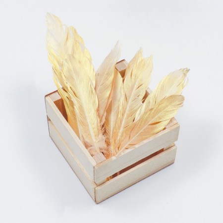 Feathers for decor, gold gold, 13-15 cm 10 pcs-2
