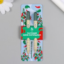 Growing gift pencils Mini 
