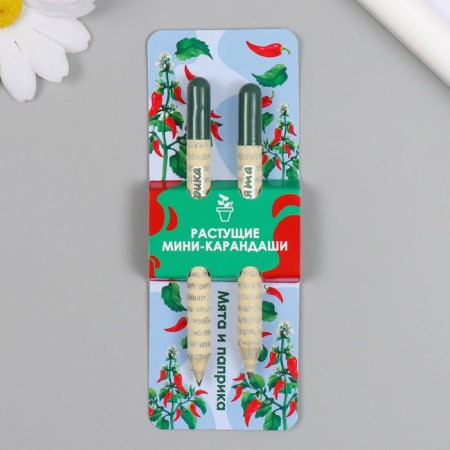 Growing gift pencils Mini "Mint and Paprika" set 2 pcs