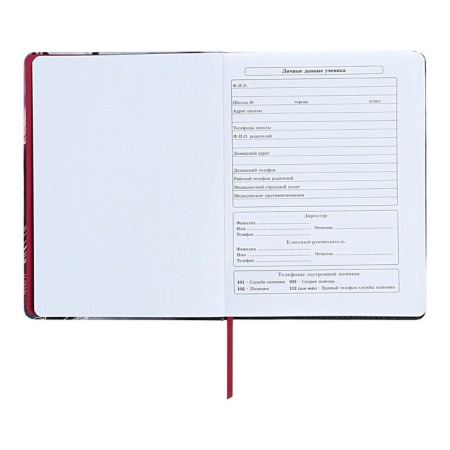 Diary 1-11 Grade "Magnolia", artificial leather, with lisasa, 48 sheets-4