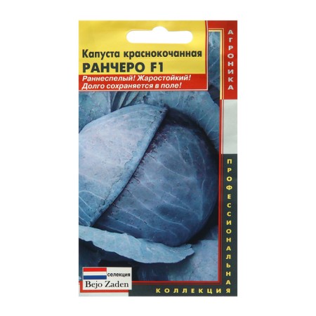 Red -haired cabbage seeds "Range", F1, 10 pcs