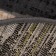 Mokko carpet, oval, 80x150 cm, jute