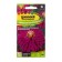 Cinnia flower seeds "Lilac emperor" Cactus, O, CP, 0.2 g