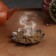 Powder "Five -year -old wormwood", 100 g powder