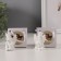 Souvenir Polystone "Angel in the Crown" White Mix 3x3x5 cm
