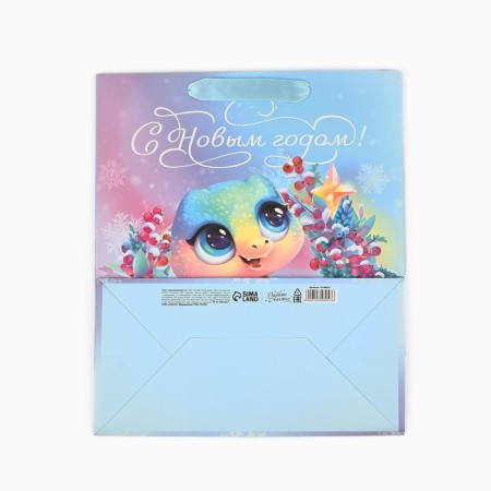 Laminated package "Happy New Year", snake, Ml 23 x 27 x 11.5 cm, New Year-5