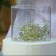 Falseyarus for the cake, cylinder, d = 15 cm, h = 12 cm, the color is transparent