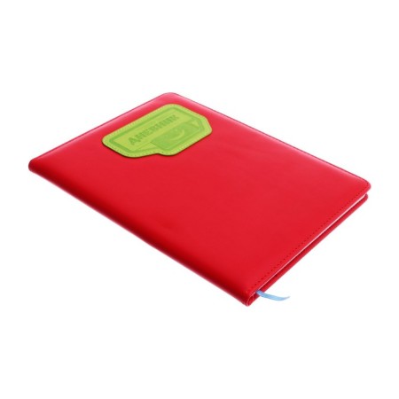 School diary for grades 5-11, PVC cover, Neon, mix-2