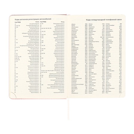 Dated diary 2025 A5 168 sheets, Devente.Barbara, a solid cover to leatherette with foam, praise, perforation, lies, block 70, pink-12