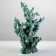 Interior souvenir "Coral" 24*19cm Green