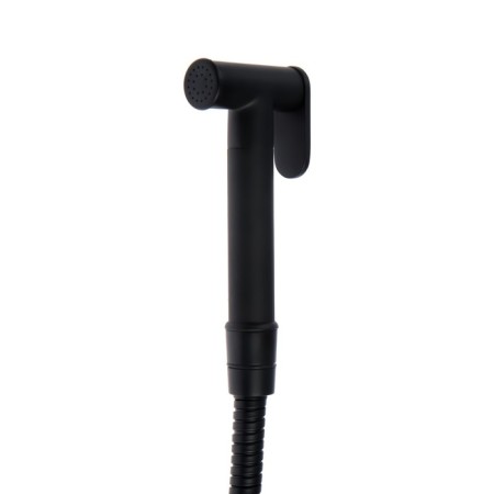 Accoona A3290F-2 mixer, with hygienic shower, wall, black-4