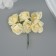 Decorative flower for creativity "Rose" pale yellow