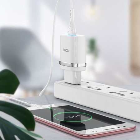 Network charger Hoco N1, 1 USB, 2.4 A, Micro USB -USB, 1 m, white cable-1